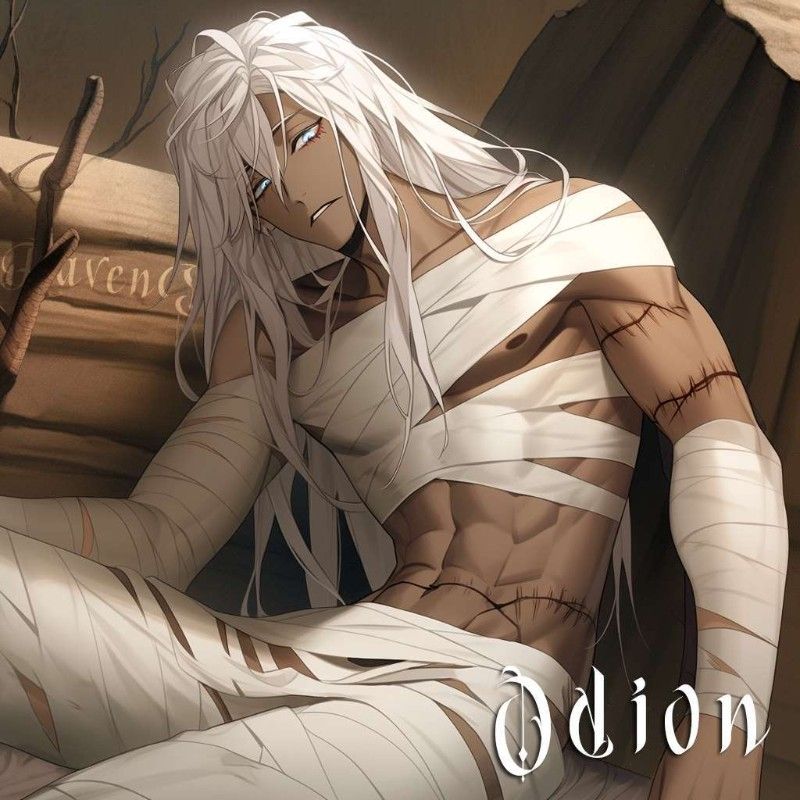 Avatar of Odion ✩ The Museum