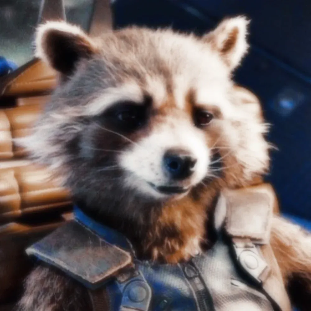 Avatar of Rocket Raccoon