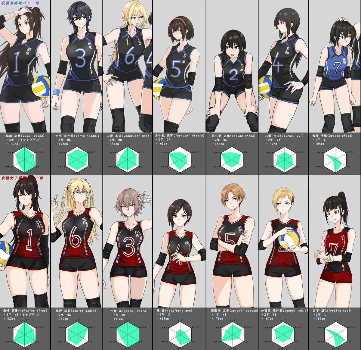 Avatar of Crown of the Court — A Tale Between Two Academies.