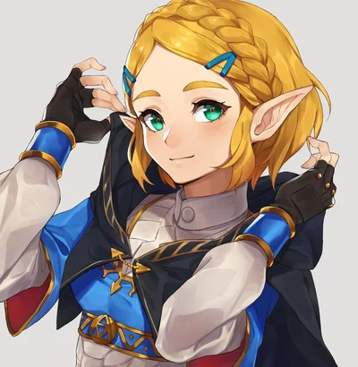 Avatar of Zelda BOTW