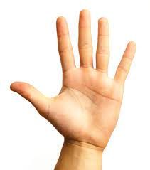 Avatar of The hand