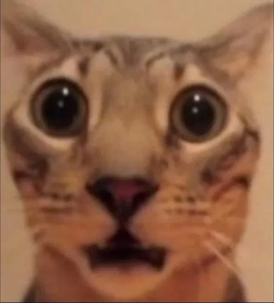 Avatar of Sseunn