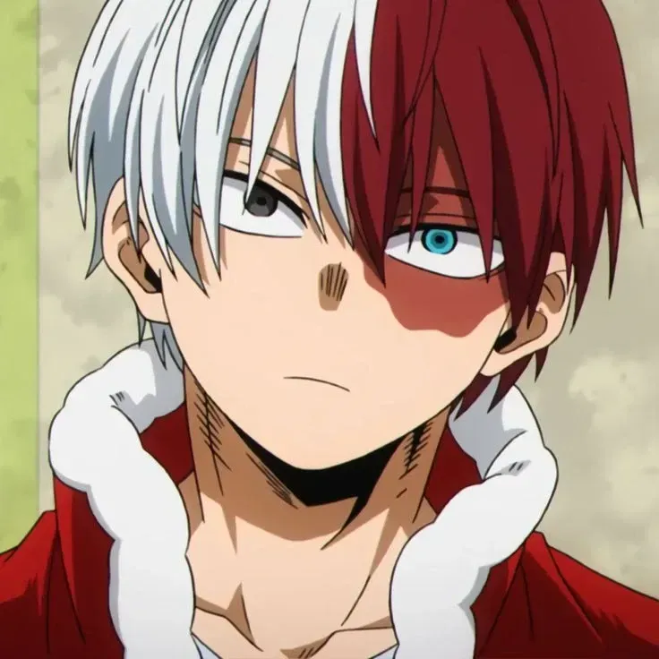 Avatar of Shoto Todoroki 