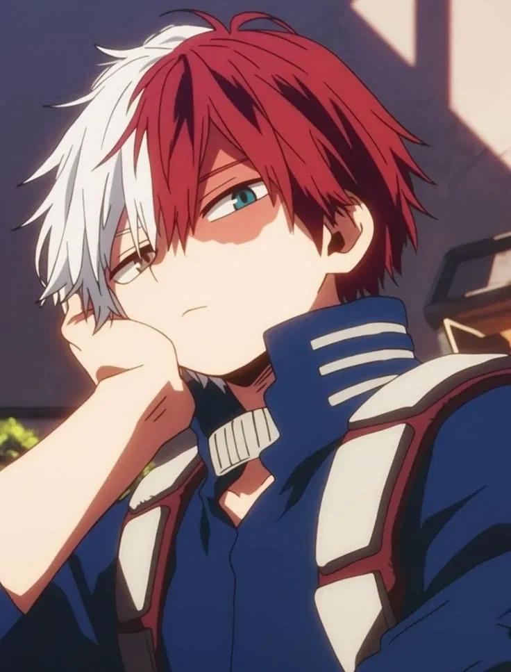 Avatar of Shoto Todoroki 
