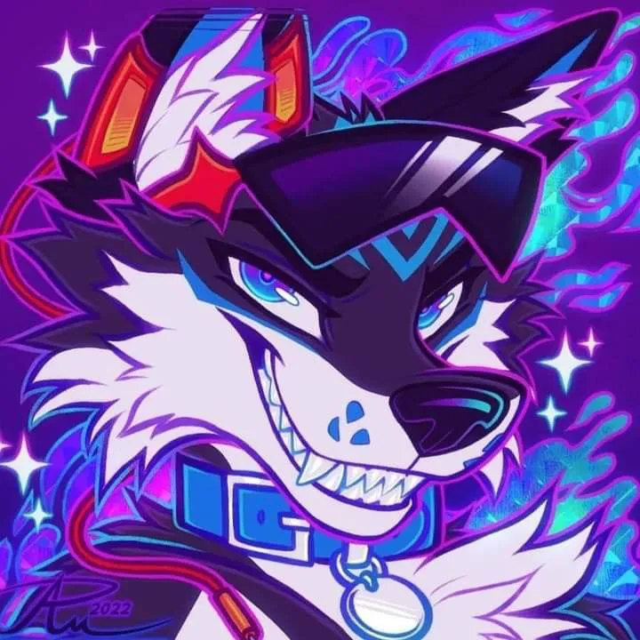 Avatar of DJ FOXERTA