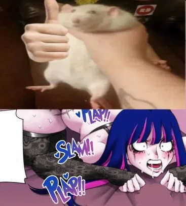 Avatar of Stocking 