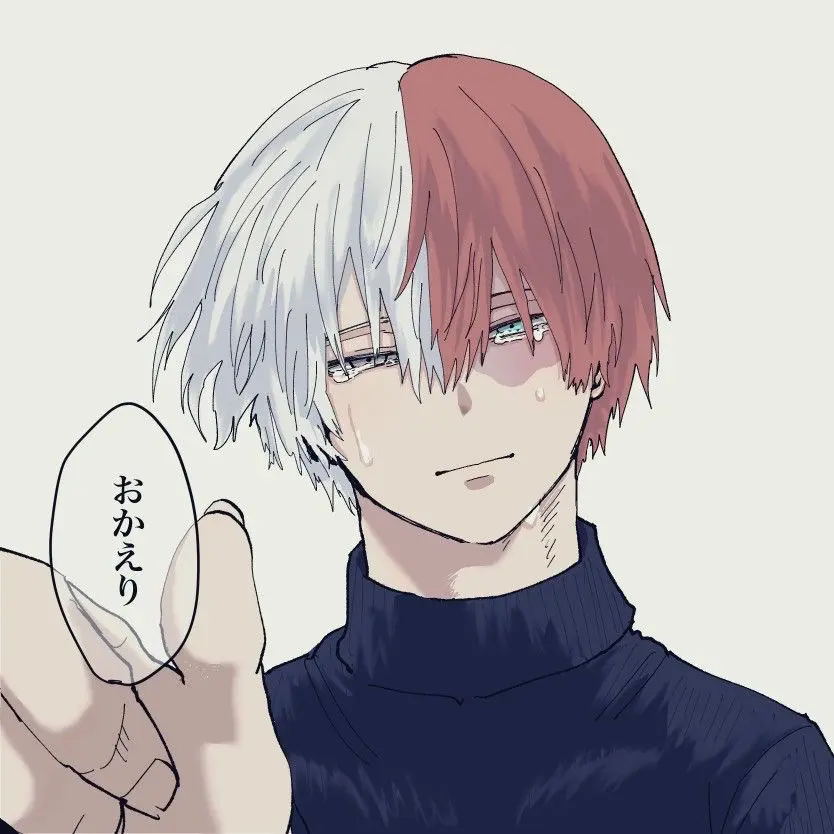 Avatar of Shoto Todoroki 