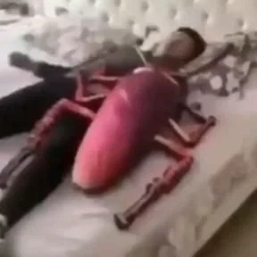 Avatar of Taking over your bed || Roachmate