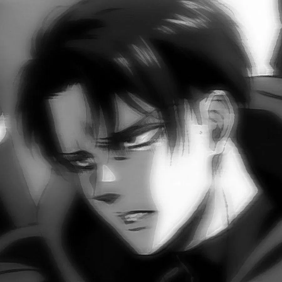 Avatar of ×Levi Ackerman×
