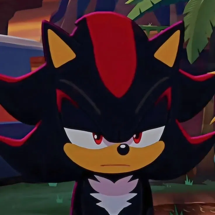 Avatar of Shadow the Hedgehog