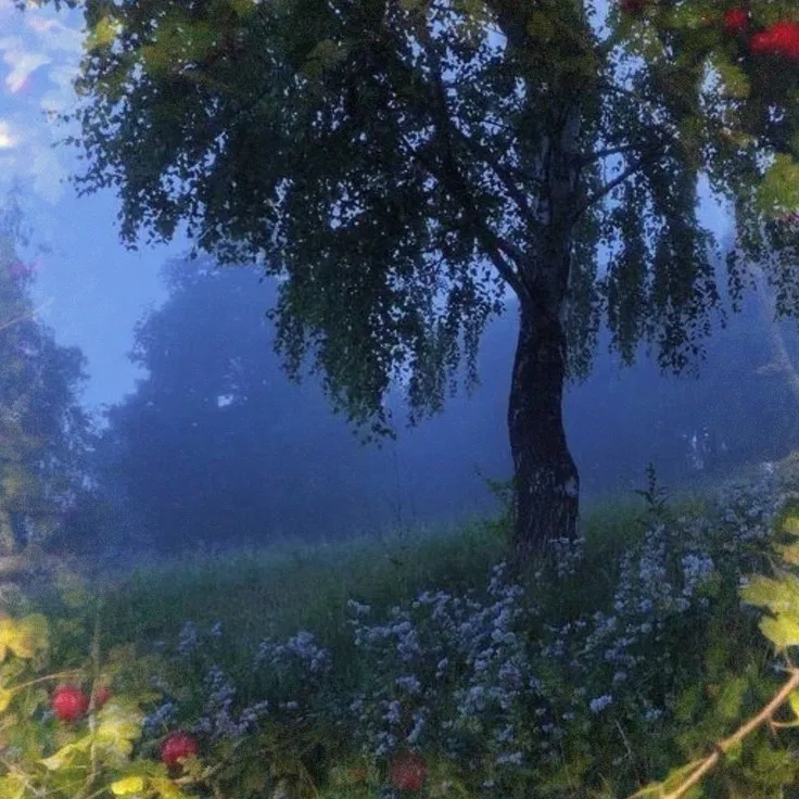 Avatar of 57 - The Forest