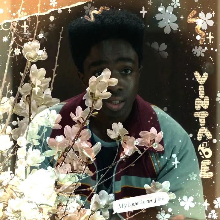 Avatar of 𝙇𝙪𝙘𝙖𝙨 𝙎𝙞𝙣𝙘𝙡𝙖𝙞𝙧 
