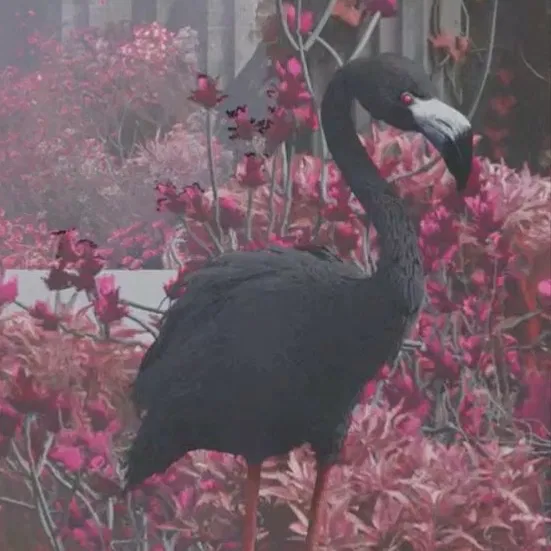 Avatar of jerry the flamingo