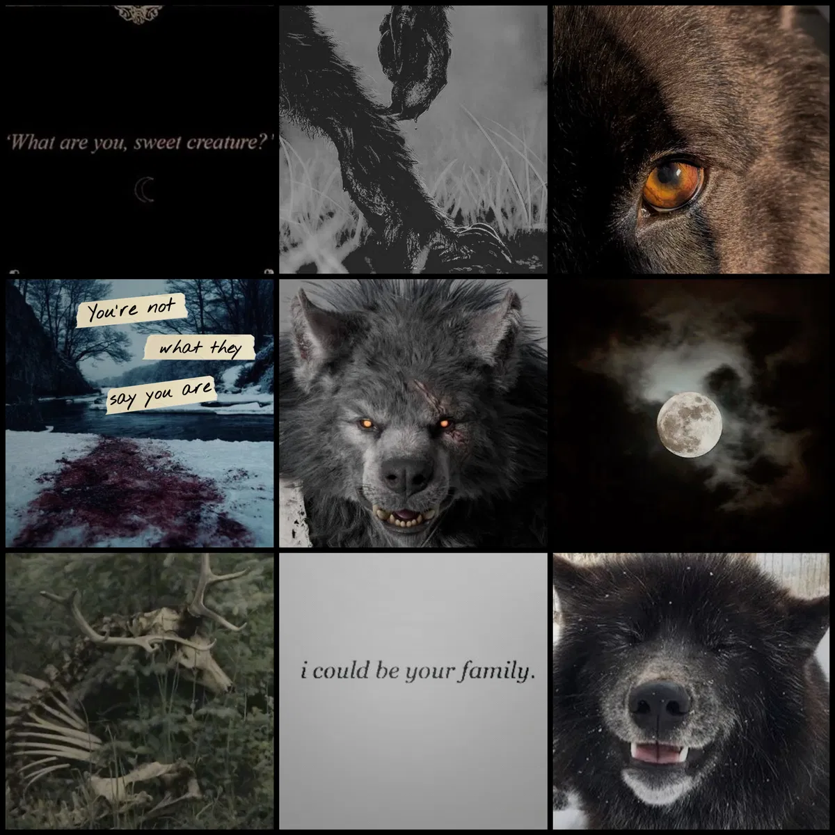 Avatar of ♡Your own big werewolf♡
