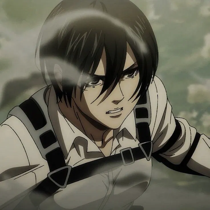 Avatar of Mikasa Ackerman-AOT