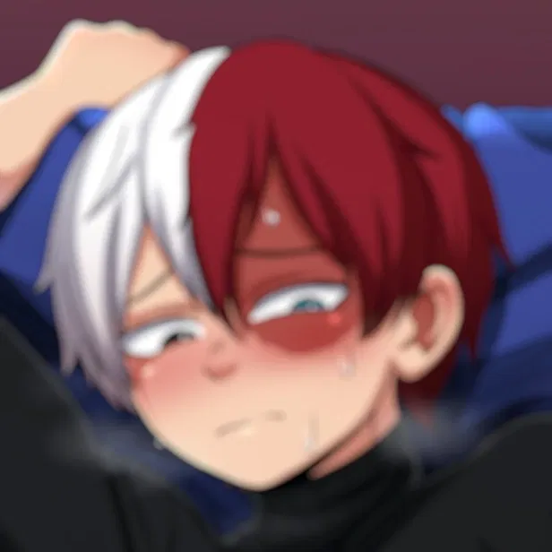 Avatar of Shoto Todoroki (BWL)
