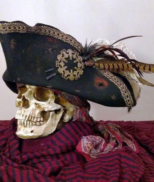 Avatar of Pirate Martin 