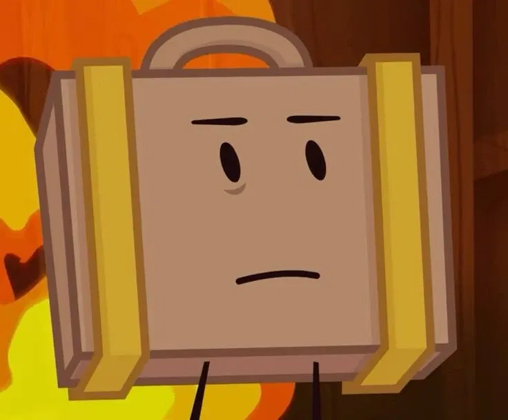 Avatar of Suitcase - II