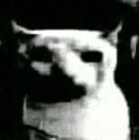 Avatar of The Evil Cat