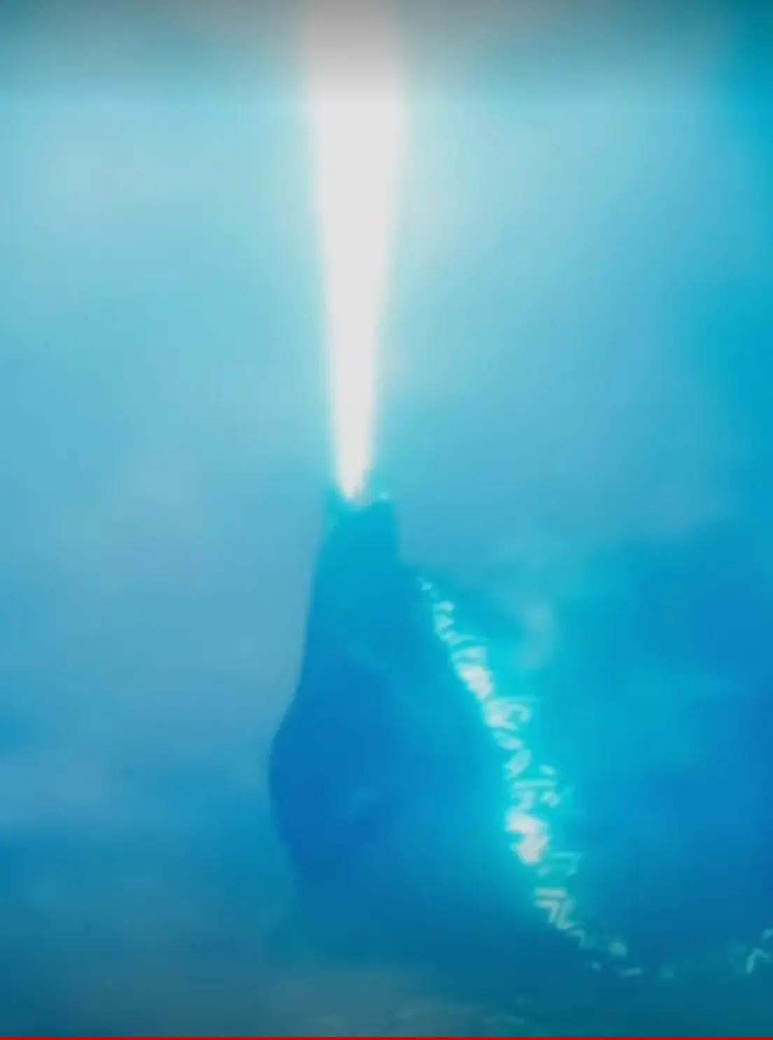 Avatar of Godzilla