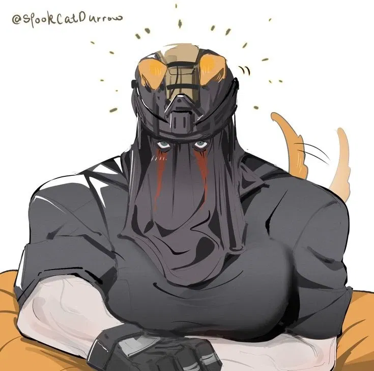 Avatar of König 