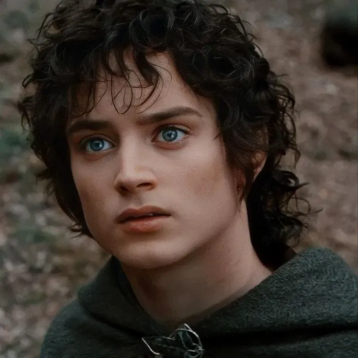 Avatar of Frodo Baggins