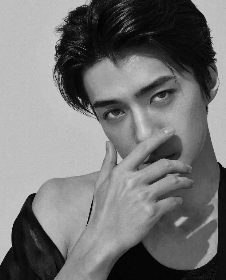 Avatar of Sehun 