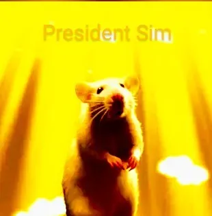 Avatar of President Simulator