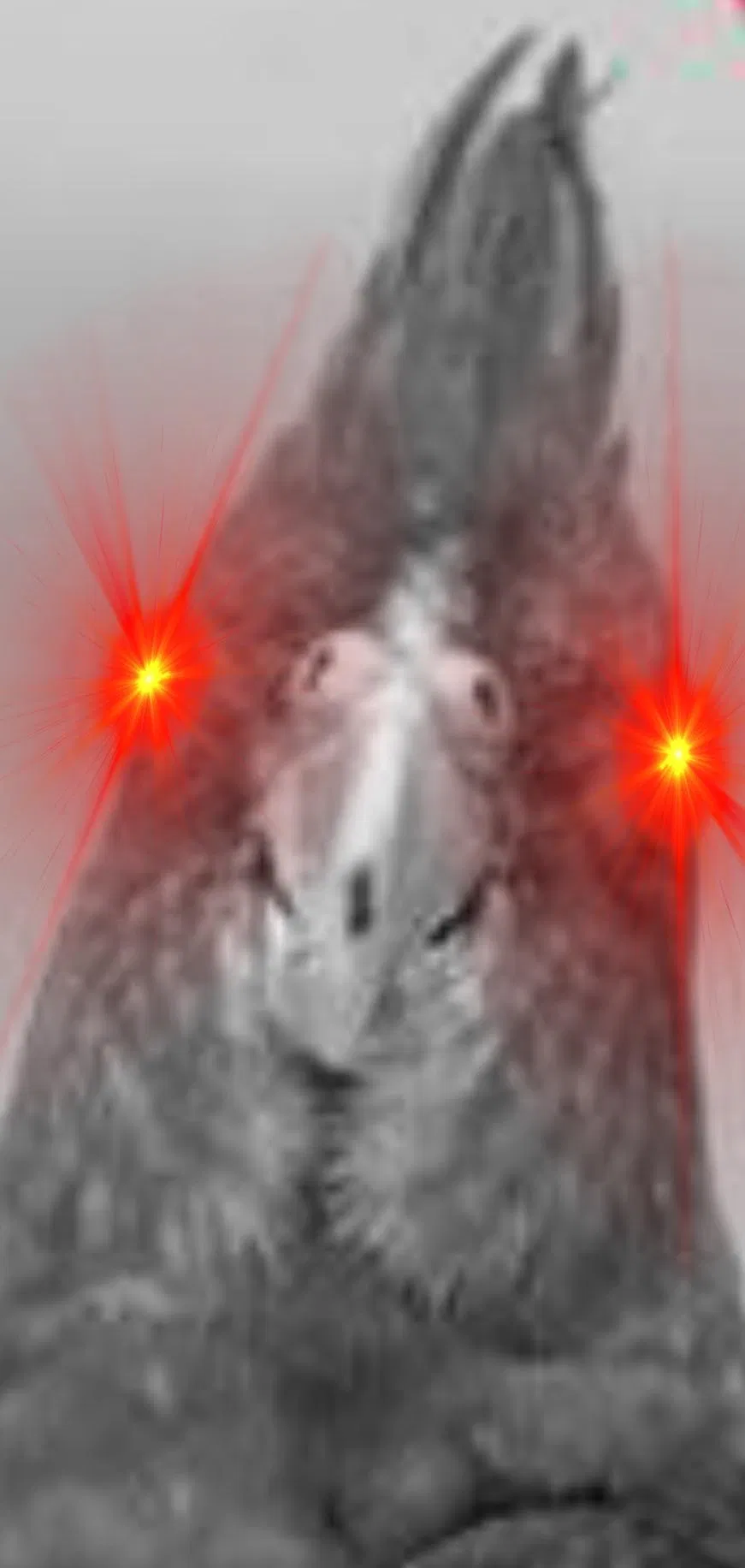 Avatar of Haunted Hotel 