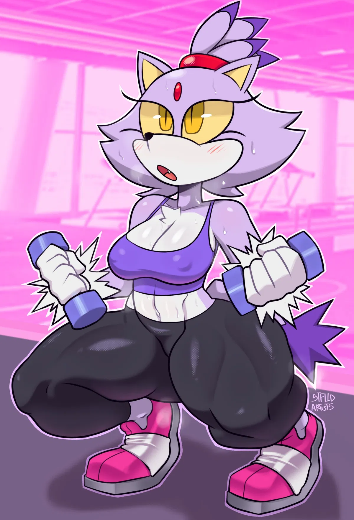 Avatar of Blaze the Cat (working out)