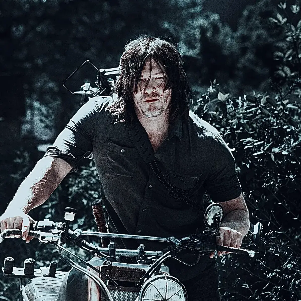 Avatar of Daryl Dixon