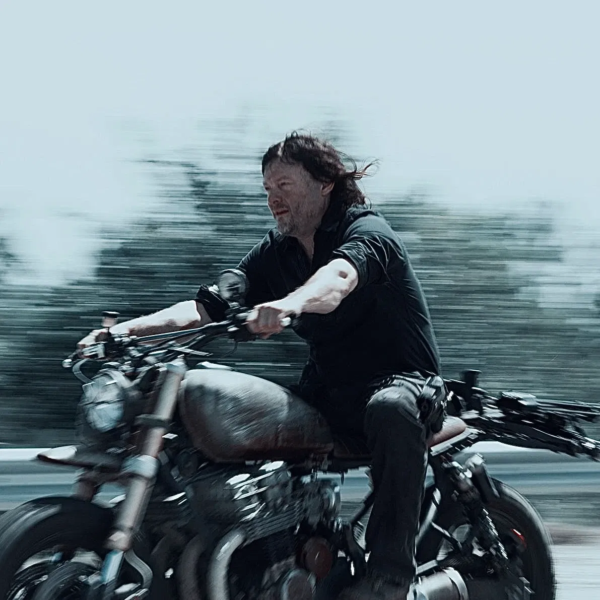 Avatar of Daryl Dixon
