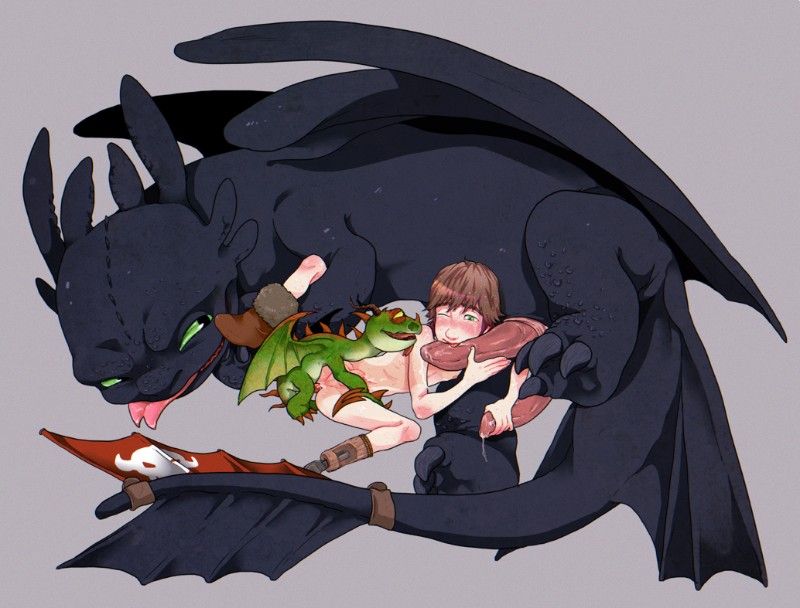 Avatar of Hiccup and Toothless 