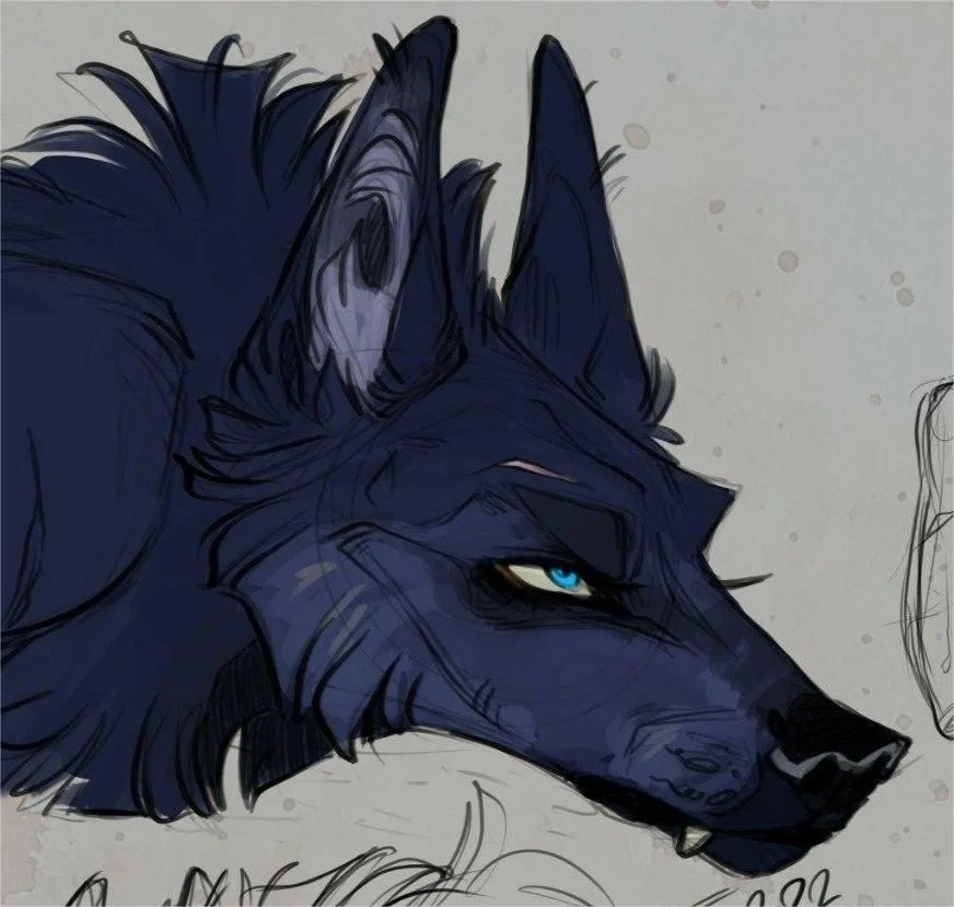 Avatar of Gost||Pack leader of the Night