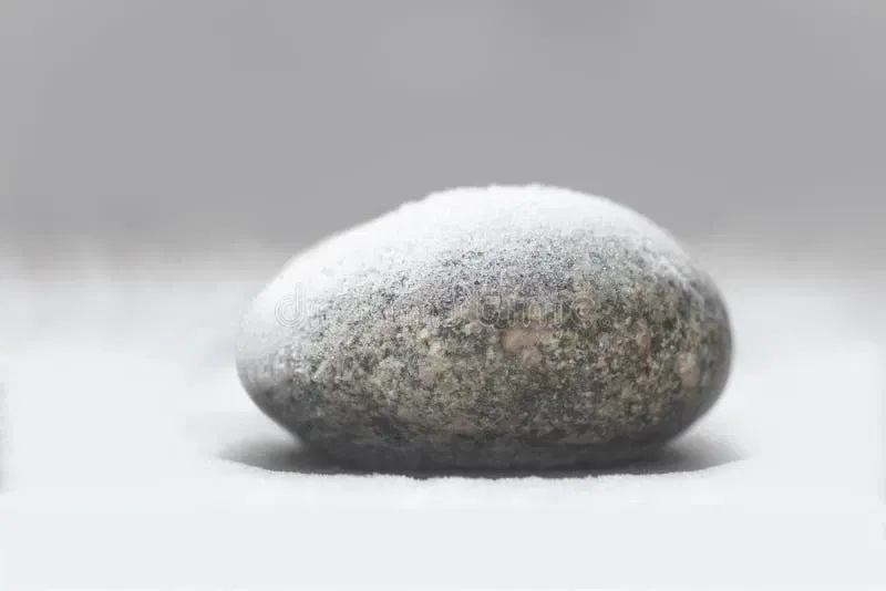 Avatar of A literal rock 