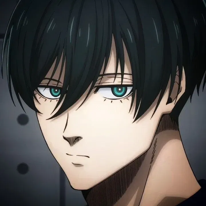Avatar of [Aged-Up!]Rin Itoshi