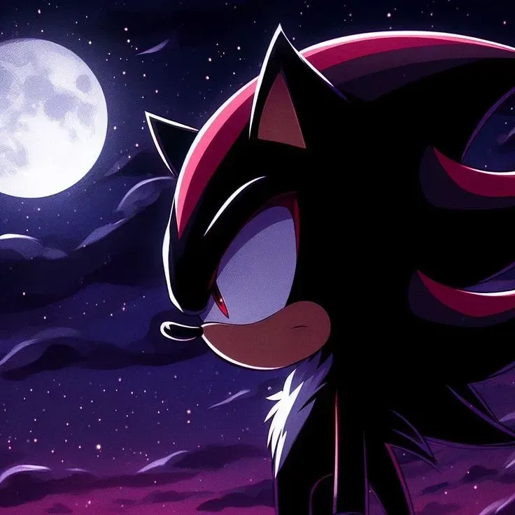 Avatar of Shadow the Hedgehog