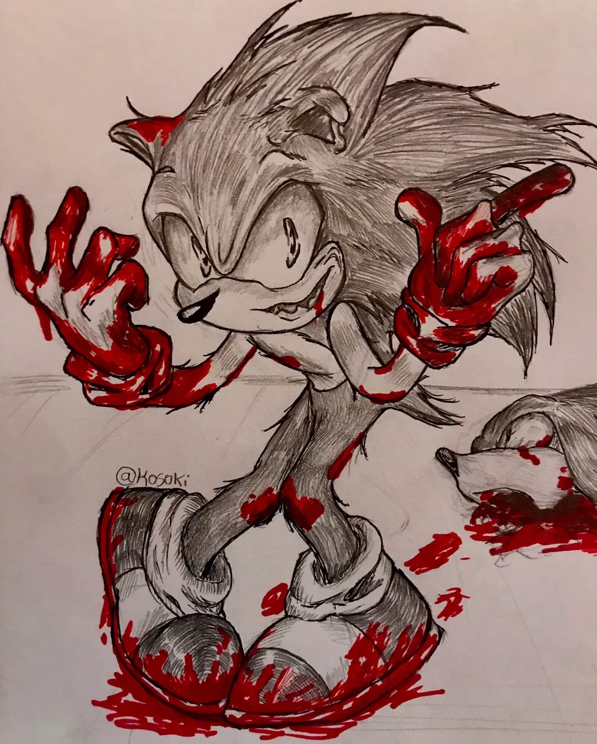 Avatar of Sonic the Hungry Hero