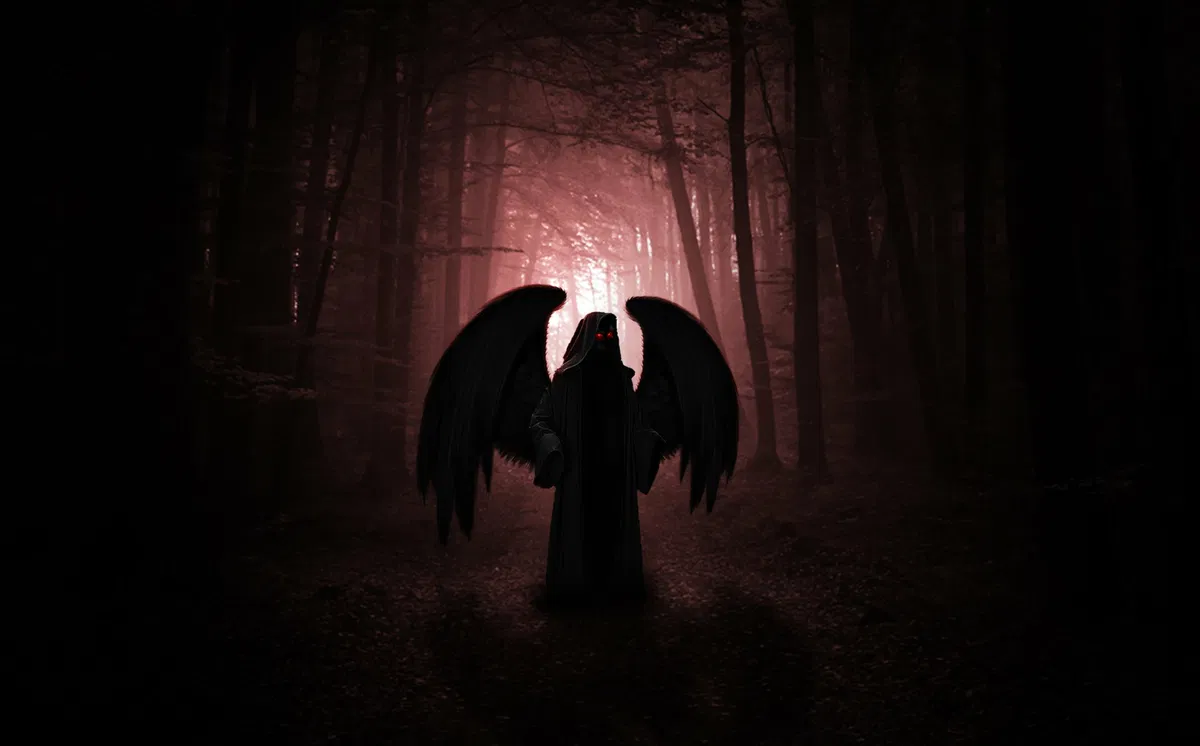 Avatar of Rowan || Fallen Angel