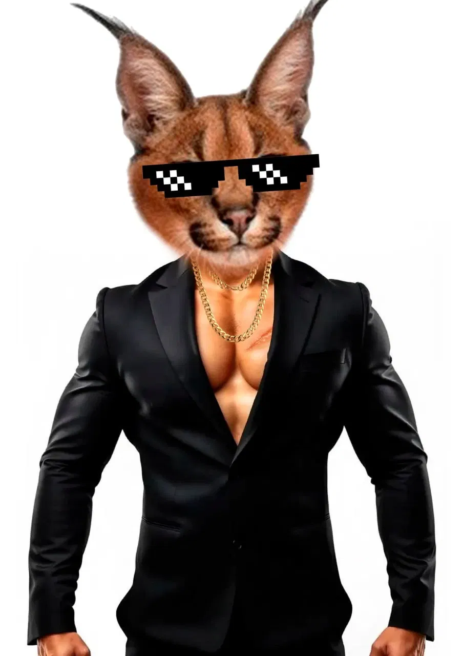 Avatar of Seth The Caracal