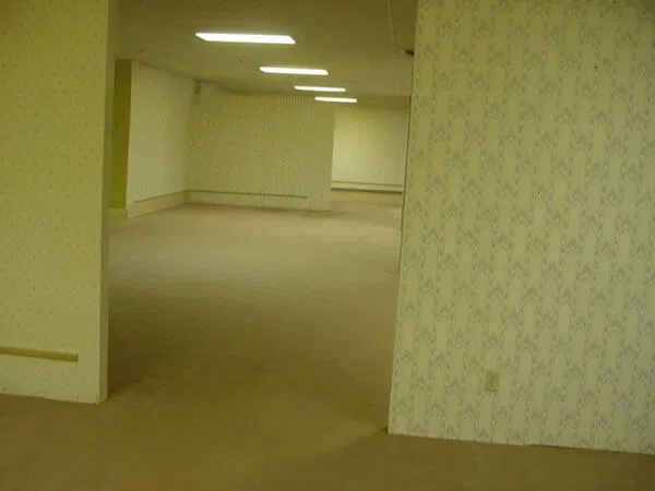 Avatar of Level 0 - Backrooms