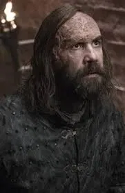 Avatar of Sandor Clegane