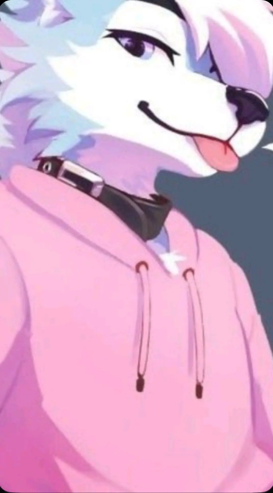 Avatar of Quinn || Dog Collar Days