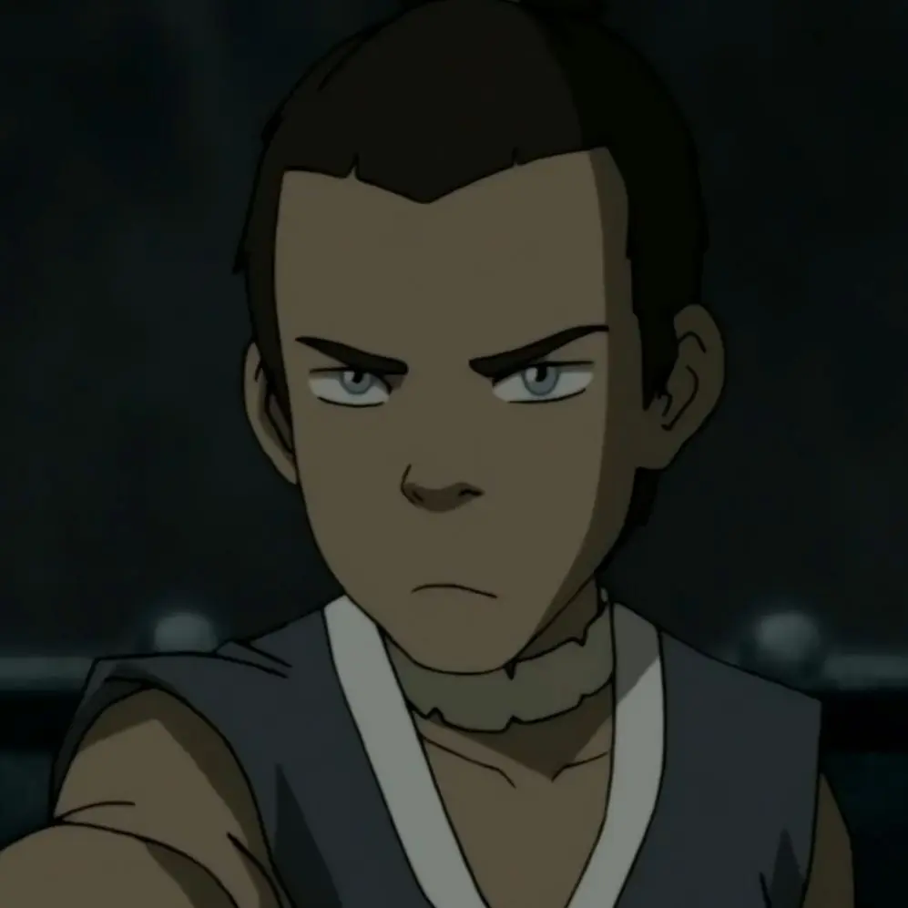 Avatar of 🗡️ .*+ Sokka — ATLA ~.
