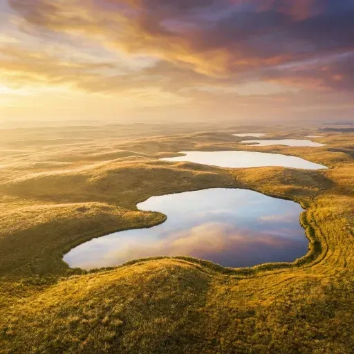 Avatar of The Eternal Golden Grasslands