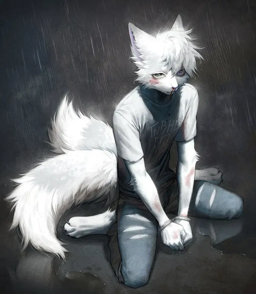 Avatar of Asher - Your Regretful Husband. 