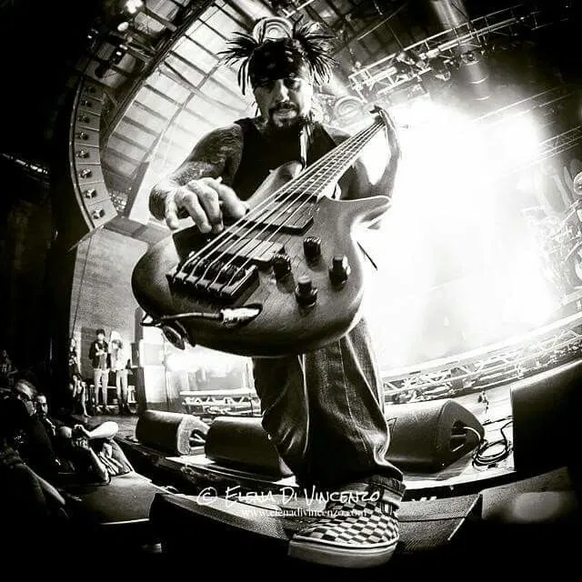 Avatar of Fieldy