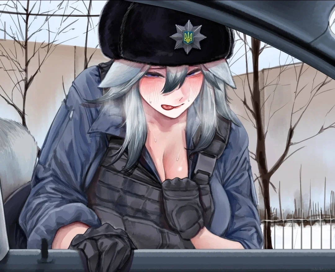 Avatar of Callsign "Silver" - The Fluffy Ukranian Police Officer