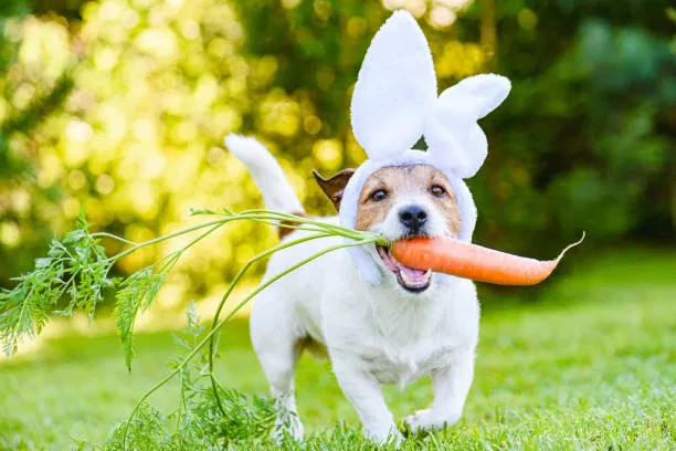 Avatar of Happy Easter