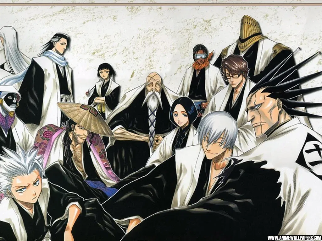 Avatar of Gotei 13